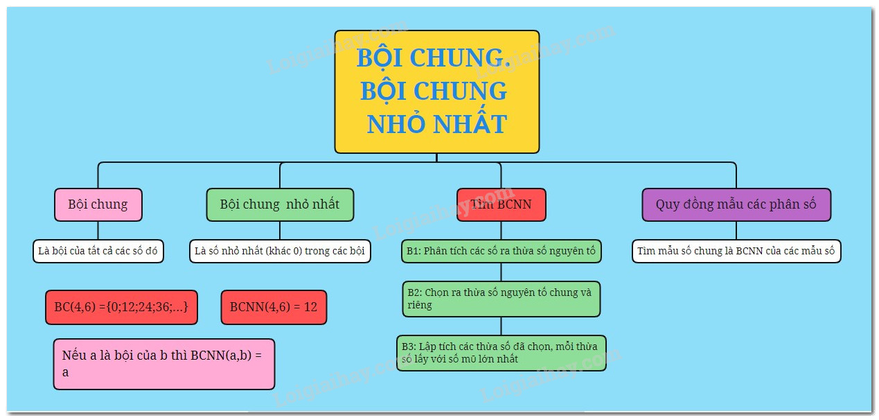 Lý thuyết Bội chung. Bội chung nhỏ nhất Toán 6 Chân trời sáng tạo 1