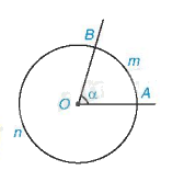 Lý thuyết Cung và dây của một đường tròn Toán 9 Kết nối tri thức 3