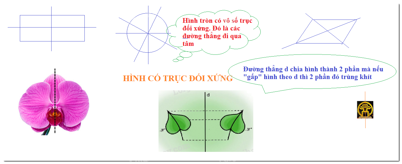 Lý thuyết Hình có trục đối xứng Toán 6 Cánh diều 7