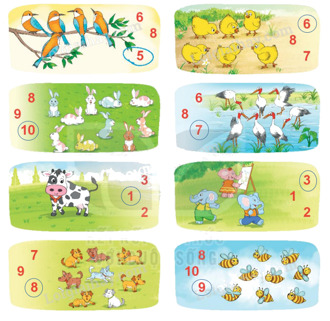 Toán lớp 1 trang 14 - Bài 2: Các số 6, 7, 8, 9, 10 - SGK Kết nối tri thức 15