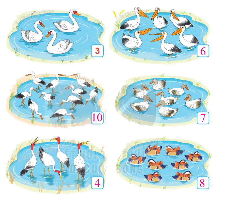 Toán lớp 1 trang 14 - Bài 2: Các số 6, 7, 8, 9, 10 - SGK Kết nối tri thức 7