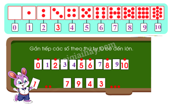 Toán lớp 1 trang 47 - Số 10 - SGK Chân trời sáng tạo 5