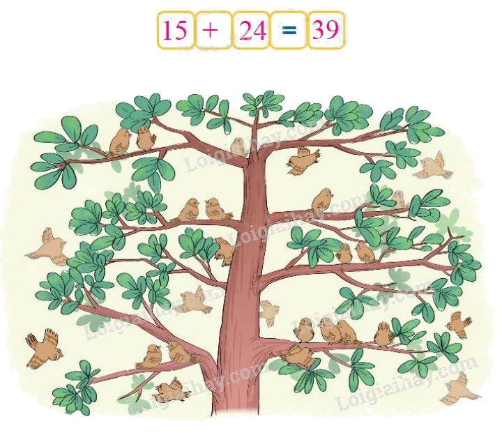 Toán lớp 1 trang 48 - Bài 30: Phép cộng có hai chữ số với số có hai chữ số - SGK Kết nối tri thức 13