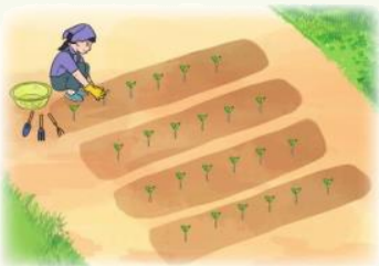 Toán lớp 3 trang 21 - Bảng nhân 6 - SGK Cánh diều 8