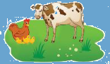 Toán lớp 3 trang 32 - Em làm được những gì - Sách giáo khoa Chân trời sáng tạo 9