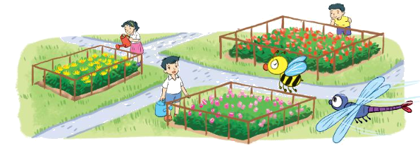 Toán lớp 3 trang 35 - Luyện tập chung - SGK Kết nối tri thức 5