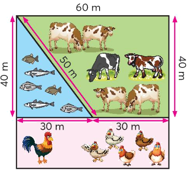Toán lớp 3 trang 47 - Em làm được những gì - SGK Chân trời sáng tạo 4 1