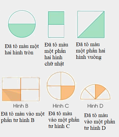 Toán lớp 3 trang 56 - Một phần hai, một phần tư - SGK Cánh diều 2