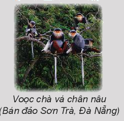 Toán lớp 3 trang 69 - Em làm được những gì - SGK Chân trời sáng tạo 10