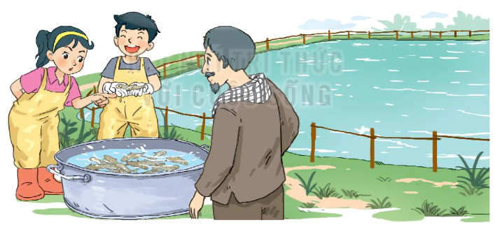 Toán lớp 3 trang 70 - Phép cộng trong phạm vi 100 000 - SGK Kết nối tri thức 10