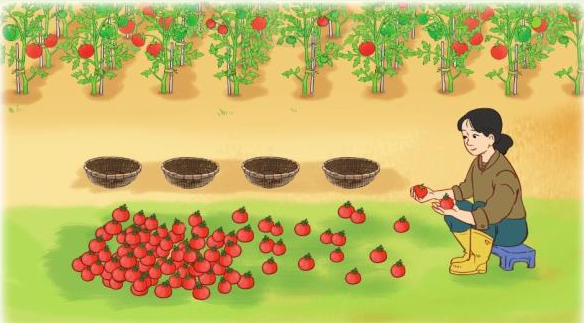 Toán lớp 3 trang 78 - Chia cho số có một chữ số - SGK Cánh diều 5