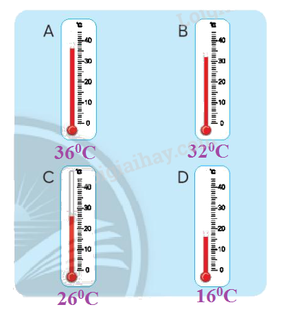 Toán lớp 3 trang 92 - Ôn tập hình học và đo lường - SGK Chân trời sáng tạo 11
