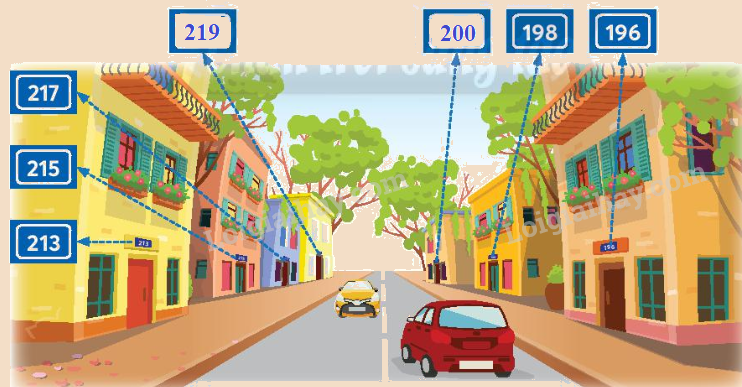 Toán lớp 4 trang 15 - Bài 4: Số chẵn, số lẻ - SGK Chân trời sáng tạo 9