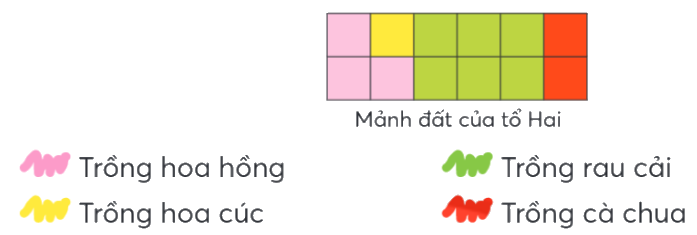 Toán lớp 4 trang 42 - Bài 60: Phân số - SGK Chân trời sáng tạo 3