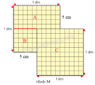 Toán lớp 4 trang 48 - Bài 20: Đề-xi-mét vuông - SGK Chân trời sáng tạo 8
