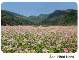 Toán lớp 4 trang 76 - Bài 149: Luyện tập chung - SGK Bình Minh 3
