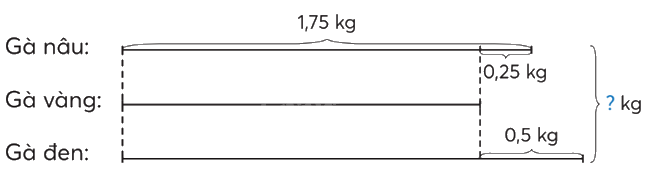 Toán lớp 5 Bài 30. Em làm được những gì? - SGK chân trời sáng tạo 5