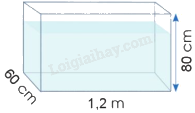 Toán lớp 5 Bài 67. Luyện tập chung - SGK cánh diều 6