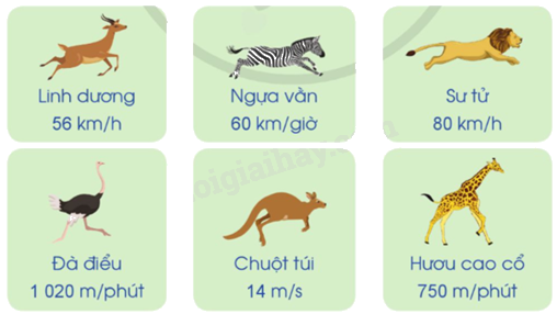 Toán lớp 5 Bài 72. Vận tốc - SGK cánh diều 3