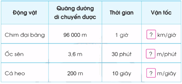 Toán lớp 5 Bài 73. Luyện tập - SGK cánh diều 0 1