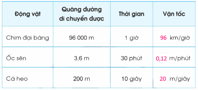 Toán lớp 5 Bài 73. Luyện tập - SGK cánh diều 2