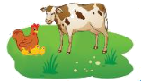 Tổng hợp 20 đề thi học kì 1 Toán 3 kết nối tri thức có đáp án 24