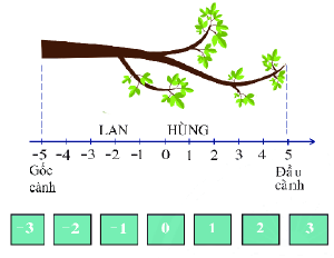 Trả lời Hoạt động 2 trang 72 SGK Toán 6 Chân trời sáng tạo 2
