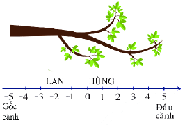 Trả lời Hoạt động 2 trang 72 SGK Toán 6 Chân trời sáng tạo 3