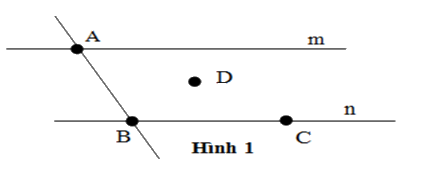 Trắc nghiệm Bài 1: Điểm. Đường thẳng Toán 6 Chân trời sáng tạo 0 5