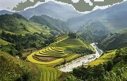 Trắc nghiệm Bài 10: Làm tròn số đến hàng trăm nghìn Toán 4 Cánh diều 0 15