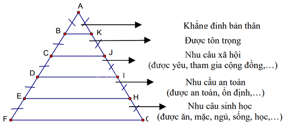 Trắc nghiệm Bài 15: Định lí Thalès trong tam giác Toán 8 Kết nối tri thức 0 14