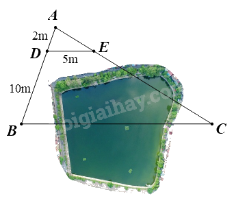 Trắc nghiệm Bài 15: Định lí Thalès trong tam giác Toán 8 Kết nối tri thức 0 37