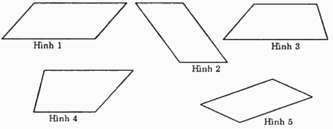 Trắc nghiệm Bài 3: Hình bình hành Toán 6 Cánh diều 0 5