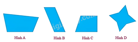 Trắc nghiệm Bài 31: Hình bình hành, hình thoi Toán 4 Kết nối tri thức 0 22