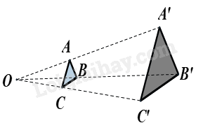 Trắc nghiệm Bài 37: Hình đồng dạng Toán 8 Kết nối tri thức 0 1