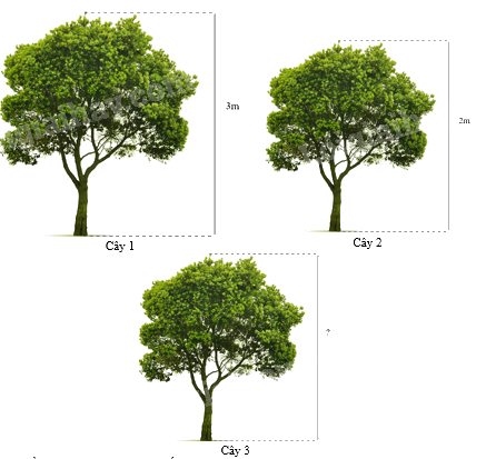 Trắc nghiệm Bài 37: Hình đồng dạng Toán 8 Kết nối tri thức 0 50