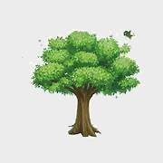Trắc nghiệm Bài 49: Chia cho số có một chữ số Toán 4 Chân trời sáng tạo 0 18