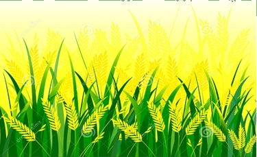Trắc nghiệm Bài 7: Bài toán liên quan đến rút về đơn vị (tiếp theo) Toán 4 Chân trời sáng tạo 0 4