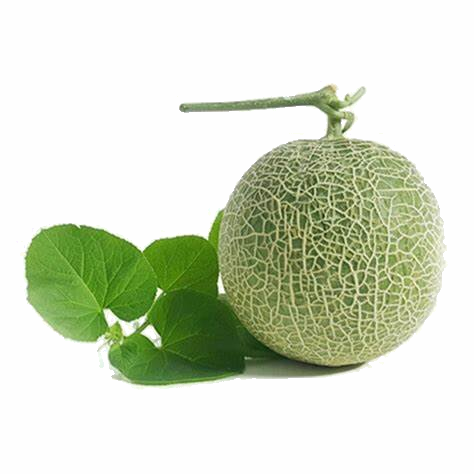 Trắc nghiệm: Chia số có năm chữ số cho số có một chữ số Toán 3 Chân trời sáng tạo 0 11