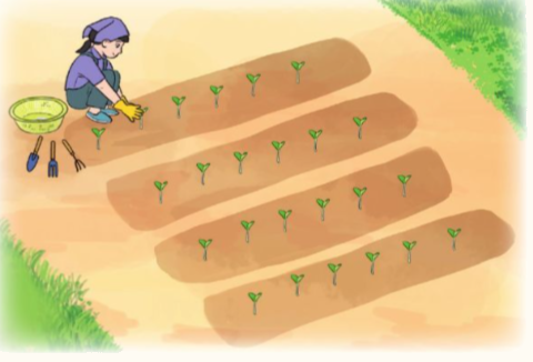 Trắc nghiệm: Ôn tập phép nhân Toán 3 Chân trời sáng tạo 0 11