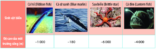 Trắc nghiệm Thứ tự trong tập hợp số nguyên Toán 6 Cánh diều 0 1